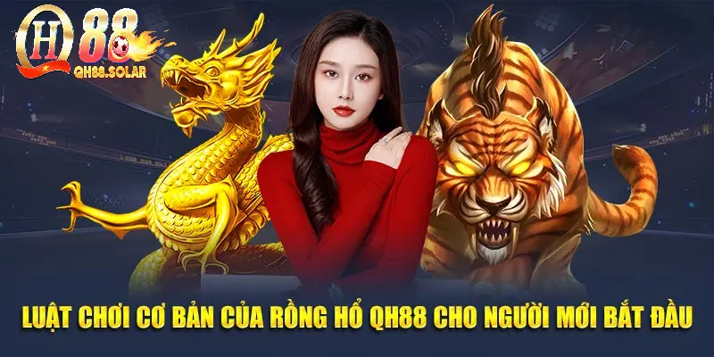 Luật chơi cơ bản của rồng hổ QH88 cho người mới bắt đầu