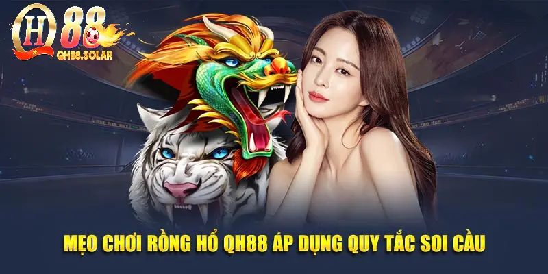 Mẹo chơi rồng hổ QH88 áp dụng quy tắc soi cầu