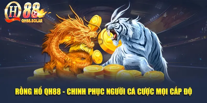 Rồng Hổ QH88 - Chinh Phục Người Cá Cược Mọi Cấp Độ